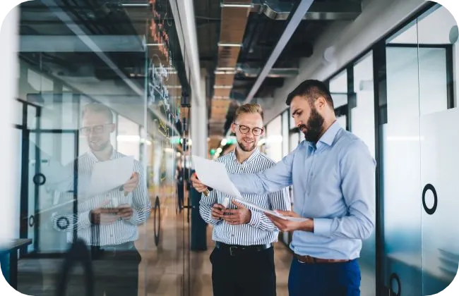 IT Consultants